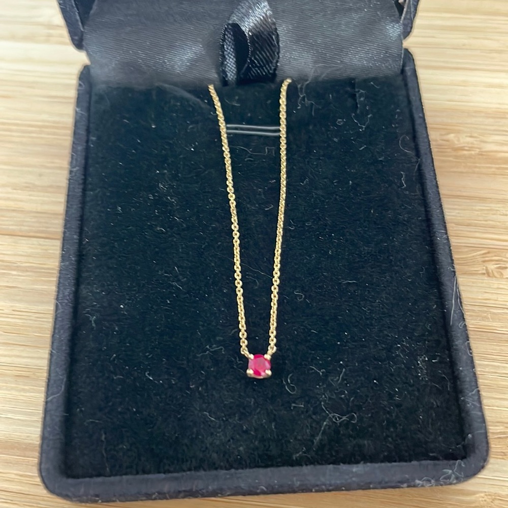 14K Yellow Gold Delicate Ruby Necklace